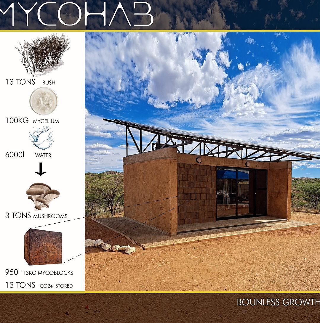 MycoHab construiu a primeira estrutura do mundo feita com tijolos à base de micélio. 1