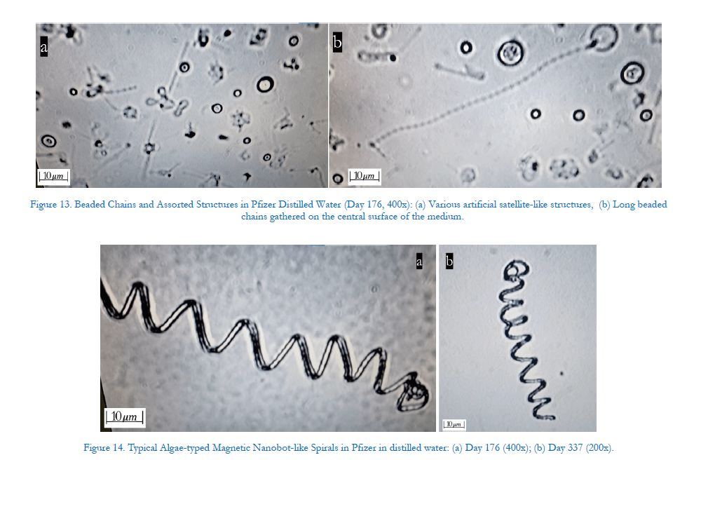 Os nanorrobôs nas vacinas são a causa dos filamentos brancos encontrados nos cadáveres dos vacinados? 2