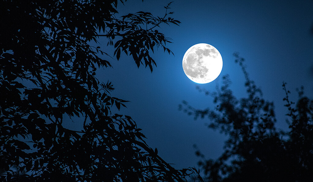 O segredo oculto da NASA sobre a Lua e o Programa Espacial Secreto. 1