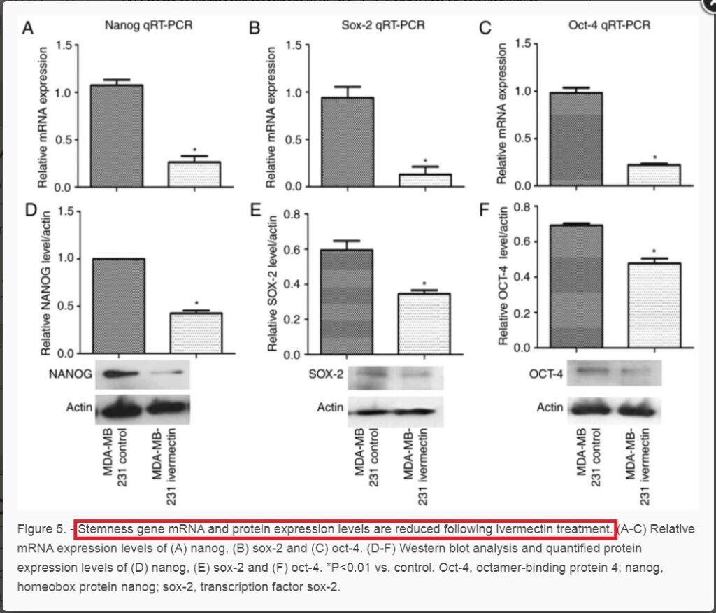 Medicamentos antiparasitários como ivermectina podem curar o câncer? 3