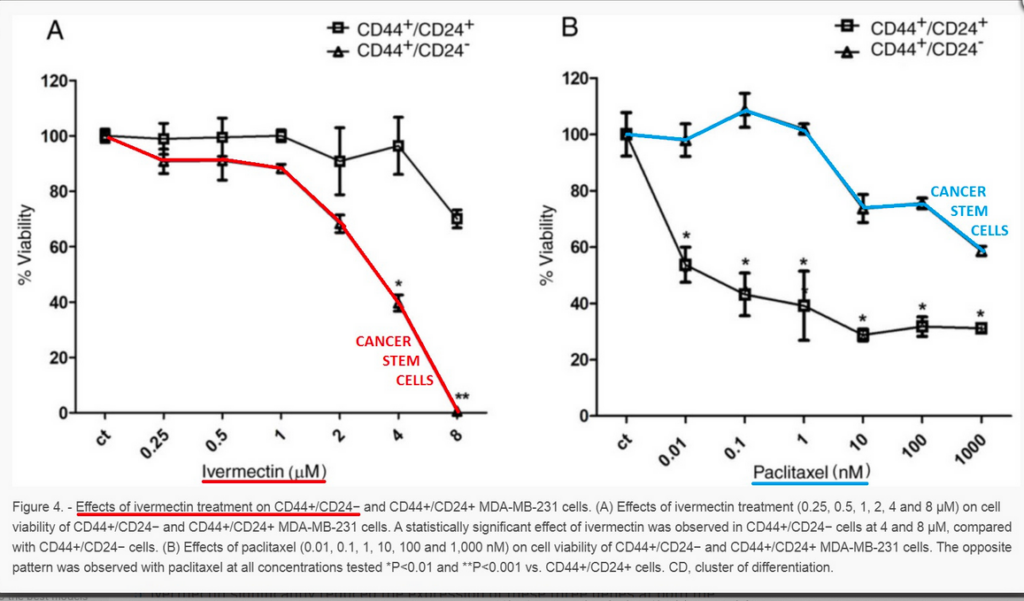 Medicamentos antiparasitários como ivermectina podem curar o câncer? 1