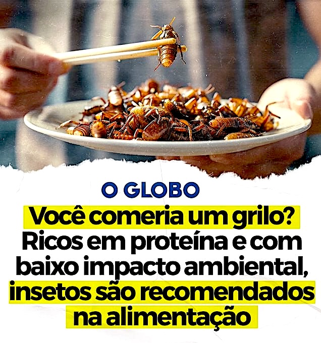 O governo Lula está destruindo a agricultura no Brasil para que a população coma insetos! 3